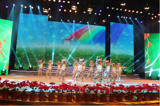 CCTV魅力中国行大型电视展演活动走进广西，文化艺术交流全面启动